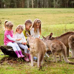 fertility in Australia